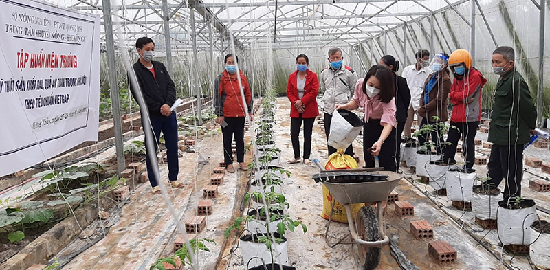 Cán bộ Trung tâm KNKN tỉnh hướng dẫn kỹ thuật sản xuất rau, quả an toàn trong nhà lưới theo tiêu chuẩn VietGAp cho người dân huyện Lệ Thủy.