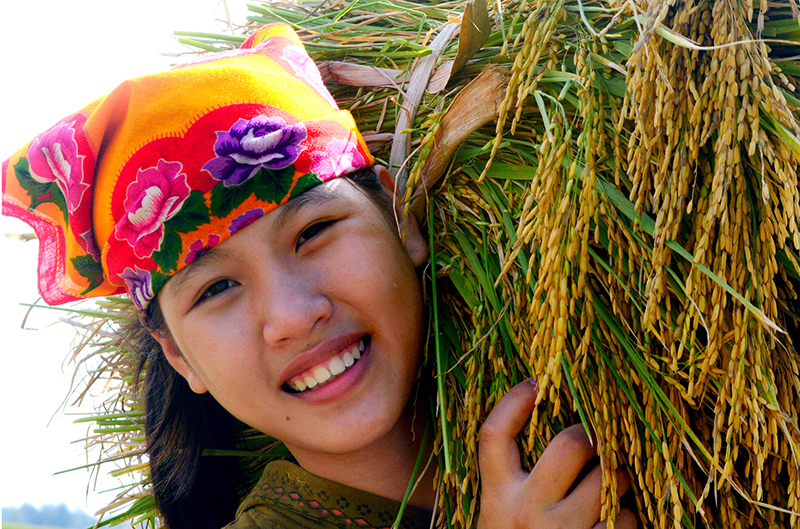Thôn nữ. Ảnh: Phạm Văn Thức