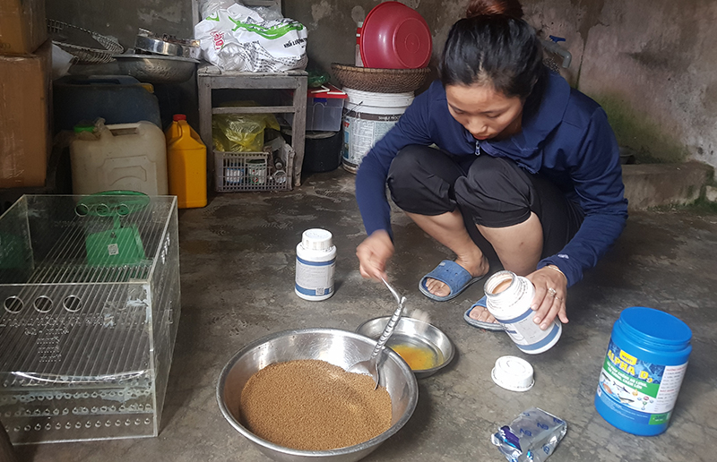 Thức ăn cho lươn được chị Bảy trộn thêm các loại vitamin để tăng sức để kháng, phát triển nhanh.