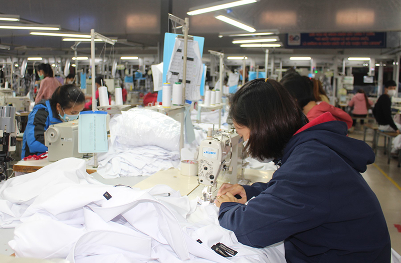 Các DN may thực hiện  