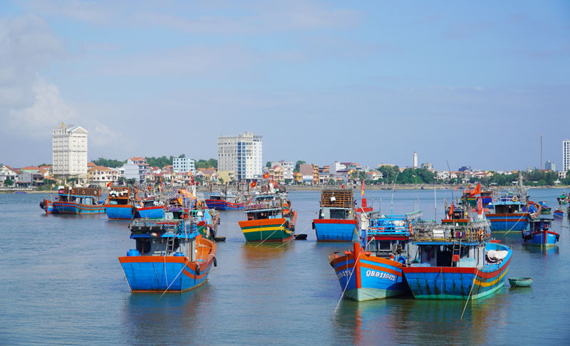 Trung tâm Y tế các huyện, thị xã, thành phố khẩn trương rà soát các tàu cá, thuyền viên, người dân trên địa bàn đến cảng cá Thọ Quang.