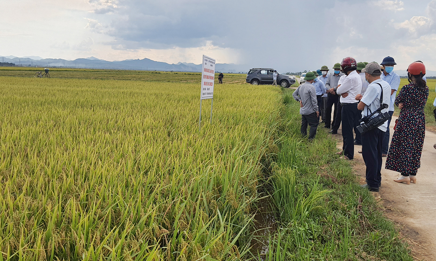 Với chuỗi liên kết sản xuất, người nông dân ngày càng gắn bó với đồng ruộng và hướng đến nền nông nghiệp bền vững.