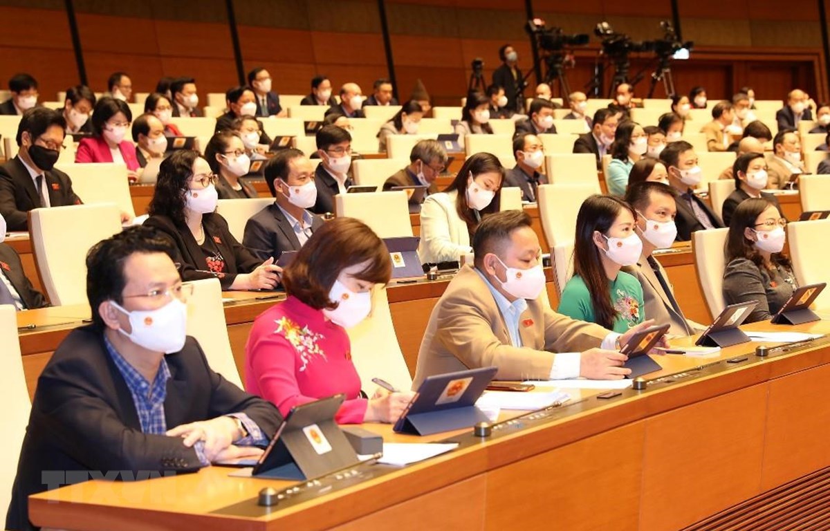 Các đại biểu Quốc hội dự phiên thảo luận ngày 9-11. (Ảnh: Trọng Đức/TTXVN)