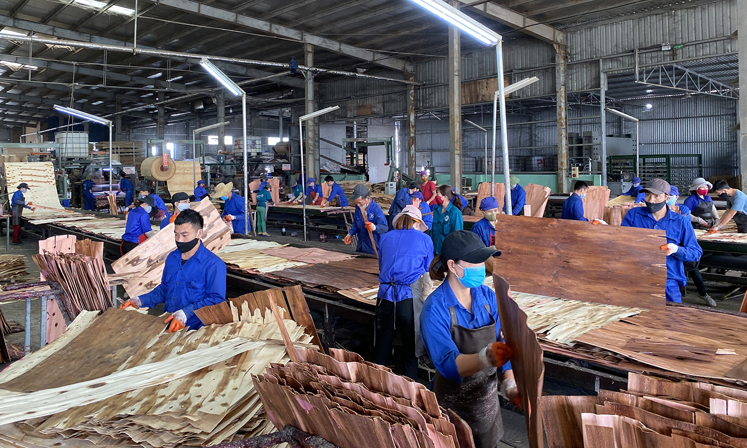 Ngành Thuế tỉnh thực hiện các giải pháp tháo gỡ khó khăn, giúp doanh nghiệp nâng cao hiệu quả sản xuất, kinh doanh.