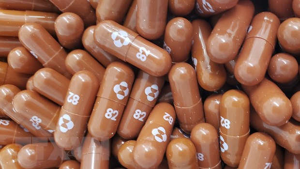  Thuốc kháng virus molnupiravir của hãng dược Merck & Co, Mỹ. (Ảnh: AFP/TTXVN)