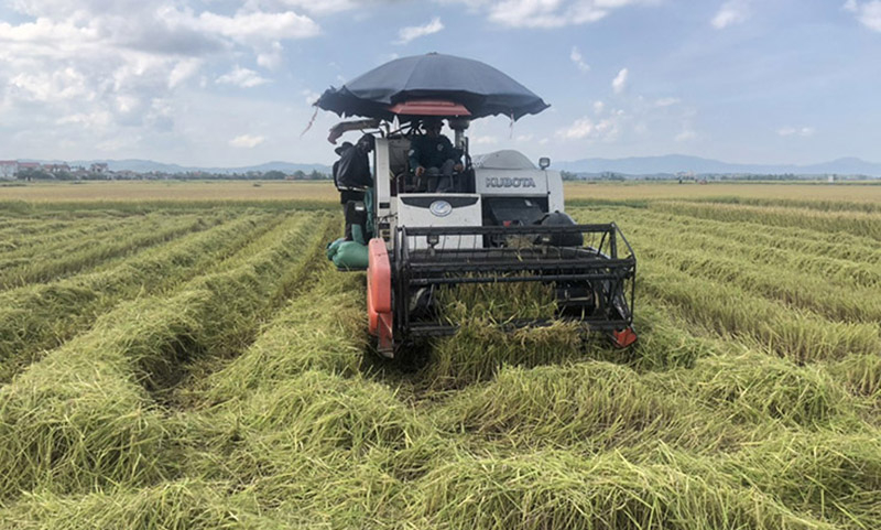 Cơ giới hóa sản xuất nông nghiệp góp phần giải phóng sức lao động, tăng năng suất, chất lượng nông sản.