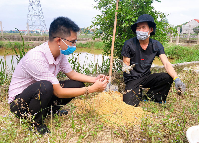 Anh Lê Văn Tuân đang chăm sóc vườn cây cỏ cú mật của mình.