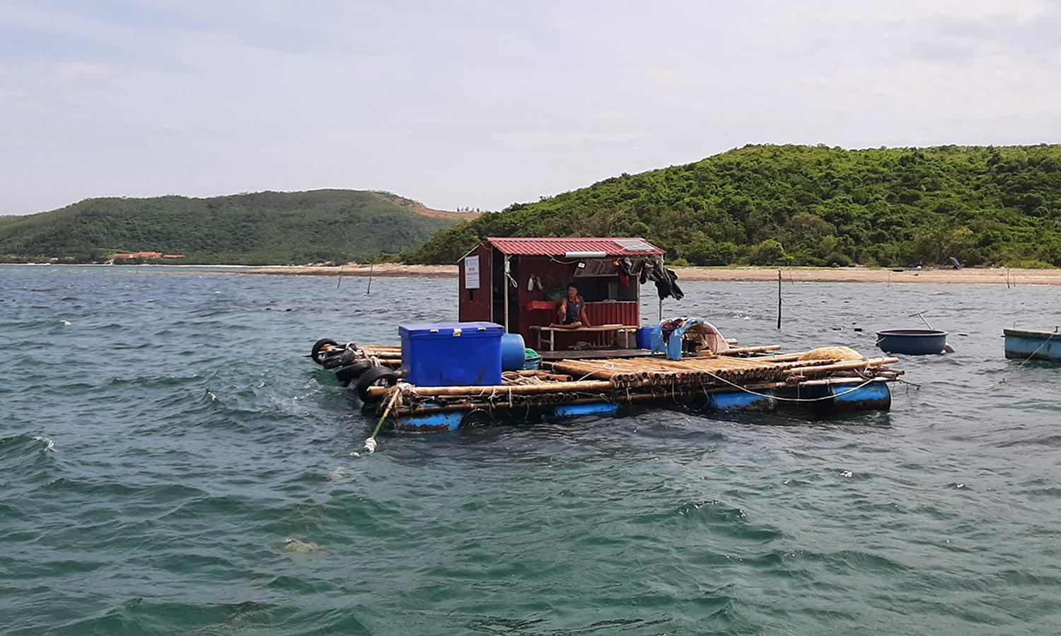 Mô hình nuôi ốc hương bằng vây lưới tại vùng biển ven bờ xã Quảng Đông (Quảng Trạch).