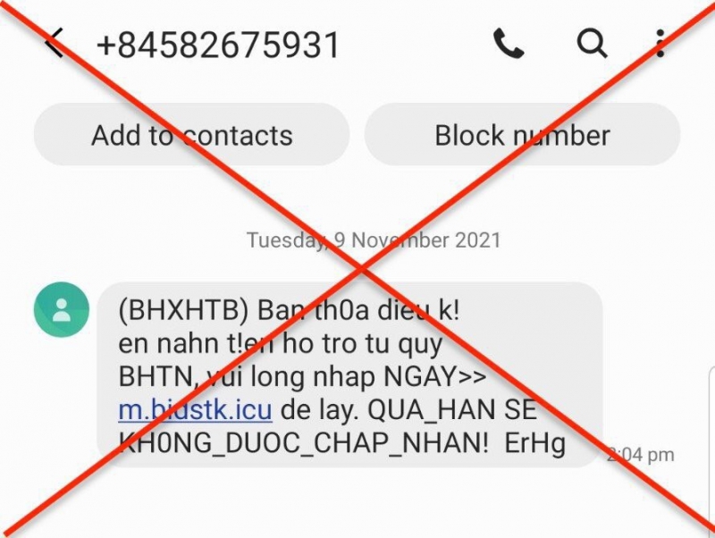   Các đầu số: 052…; +84563…; +84528…; +84582… thường gửi tin nhắn thông báo việc nhận trợ cấp từ Quỹ BHTN cho người lao động bị ảnh hưởng bởi dịch COVID-19 nhằm chiếm đoạt tiền trong tài khoản. Ảnh chụp màn hình