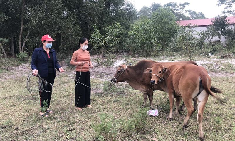 Dự án  
