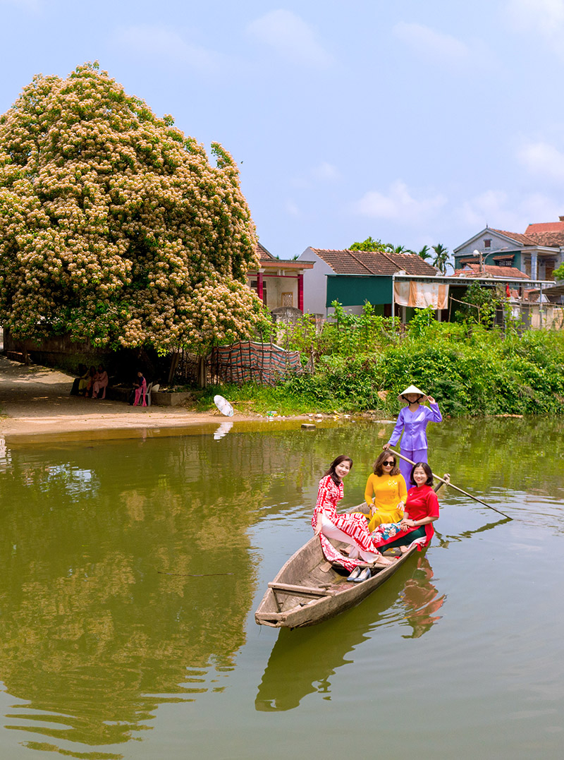 Mùa hoa bún nở rộ. Ảnh: Lê Đức Thành