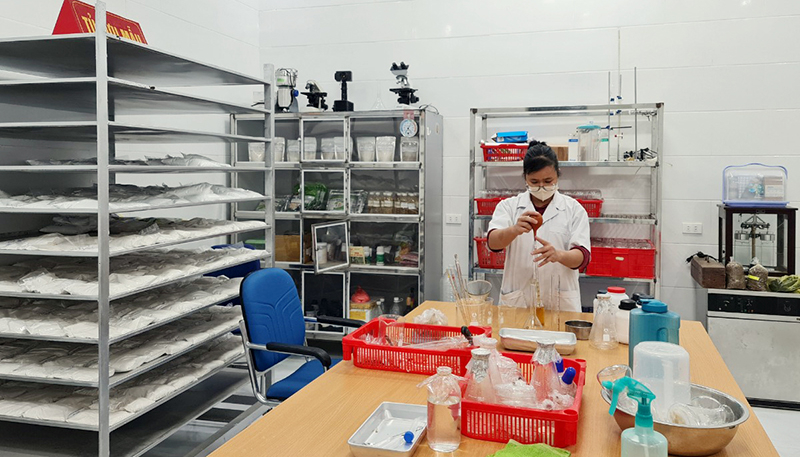 Sản xuất chế phẩm sinh học để chế biến nguyên liệu chứa chất xơ và bột làm thức ăn chăn nuôi tại Công ty Long Giang Thịnh.