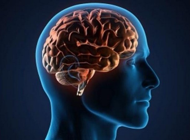  Mức độ trầm trọng của lây nhiễm bên ngoài đường hô hấp cũng như thời gian cần để loại bỏ virus vẫn chưa thể hiện đặc điểm rõ ràng, đặc biệt ở não. (Nguồn: iStock)