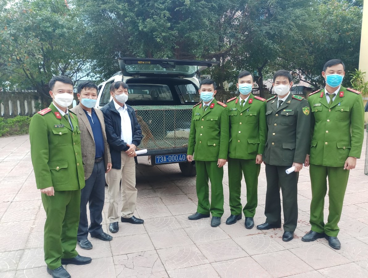 Tiếp nhận động vật hoang dã để tiến hành chăm sóc, cứu hộ.