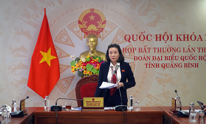 Đồng chí Phó trưởng đoàn ĐBQH Nguyễn Minh Tâm phát biểu tại phiên họp