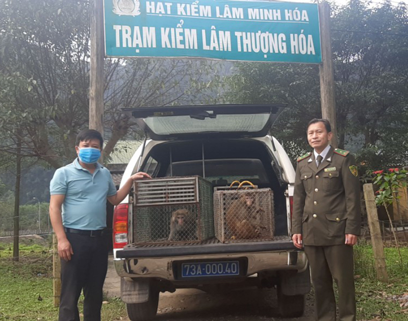 Tiếp nhận động vật hoang dã để cứu hộ.
