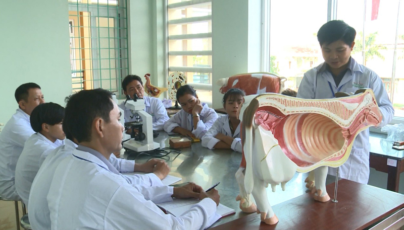 Các chương trình đào tạo cần gắn với nhu cầu thực tế, các thế mạnh sẵn có của địa phương.