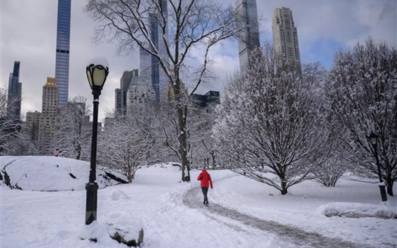 Tuyết phủ trắng tại New York, Mỹ, ngày 7/1. (Ảnh minh họa: AFP/TTXVN)