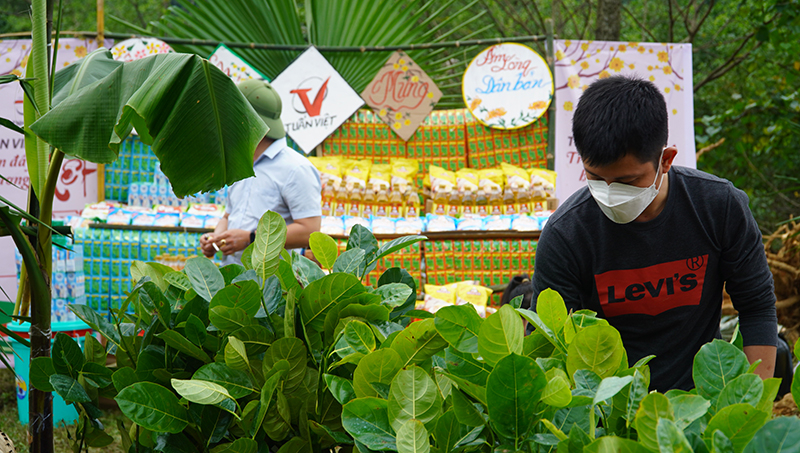 Quầy hàng cây giống