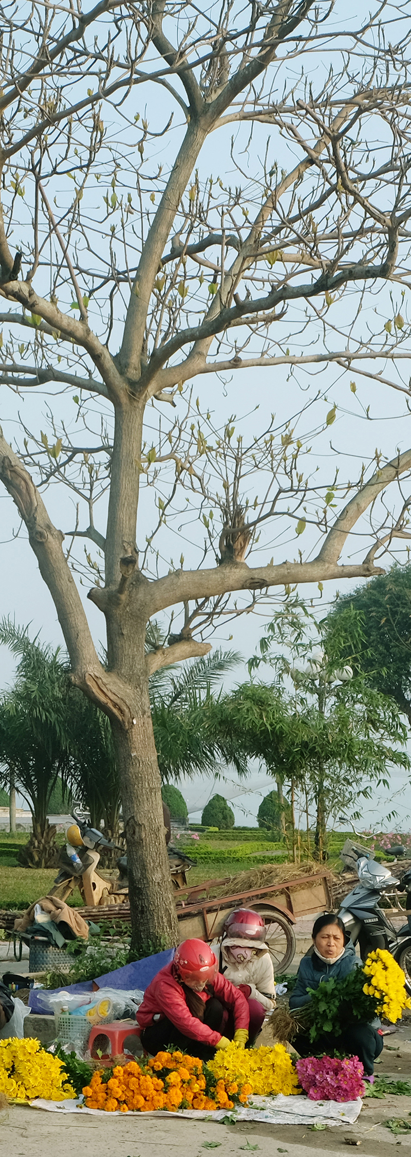Ảnh: Bách Chiến