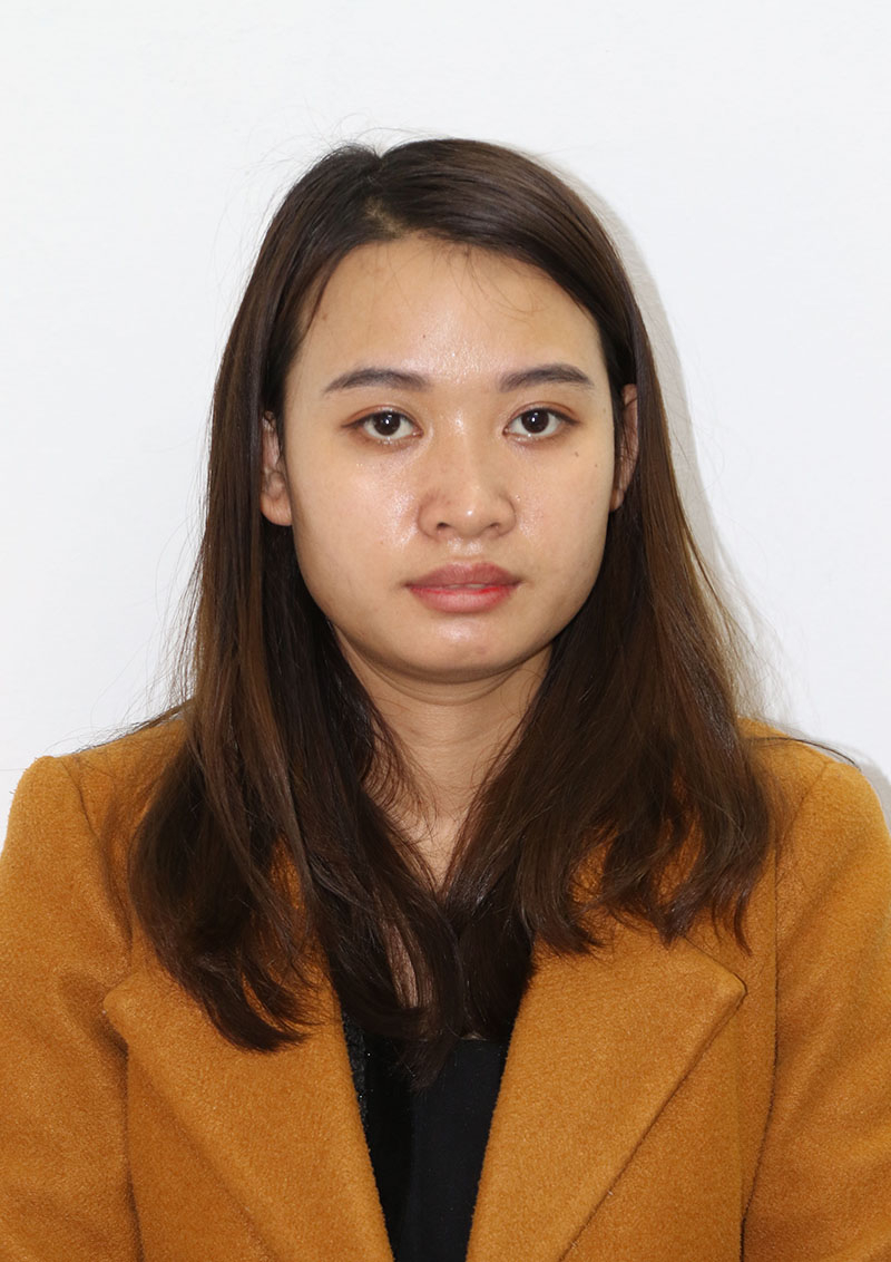 Đối tượng Nguyễn Thị Lành.