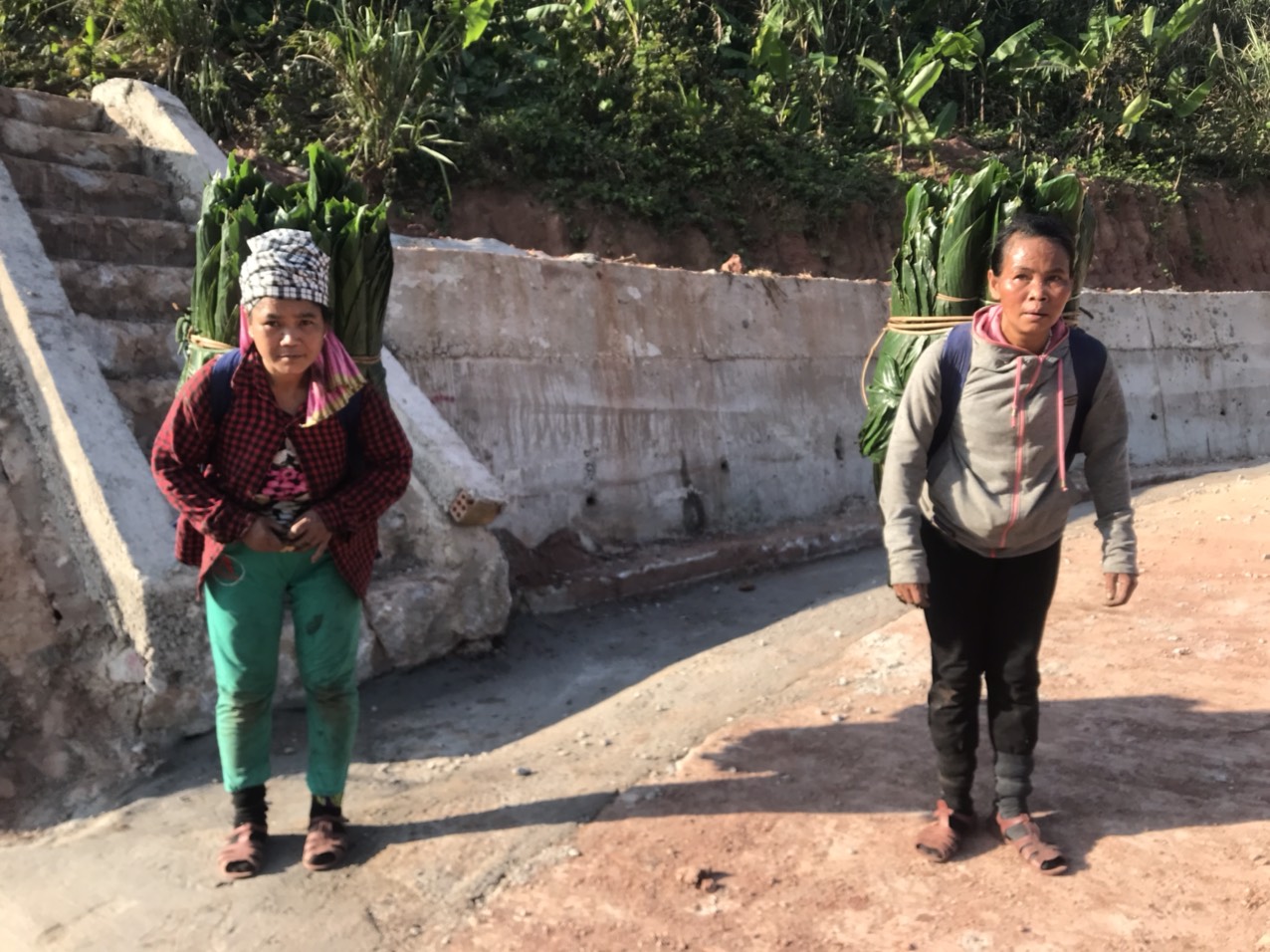 Người dân Trọng Hóa gùi lá dong từ rừng ra, chuẩn bị nhập cho thương lái.