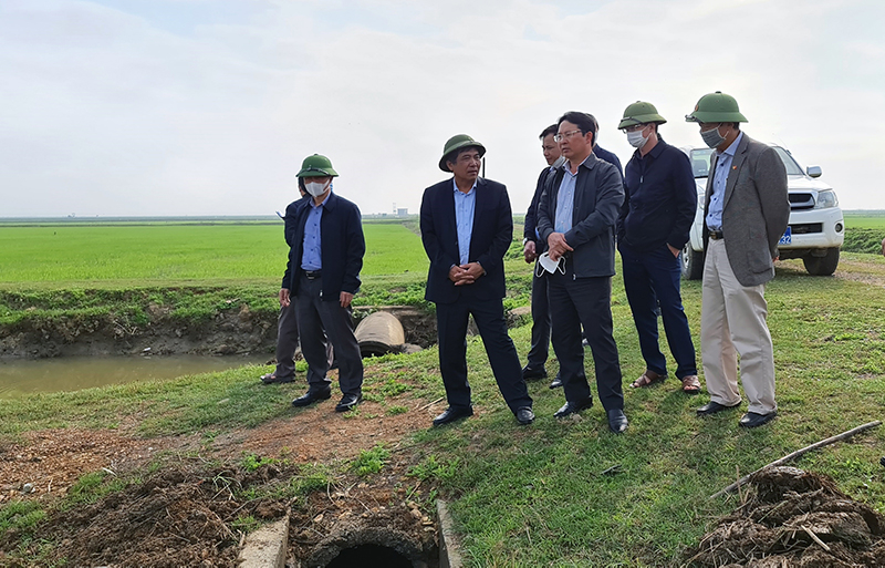 Đồng chí Phó Chủ tịch Thường trực UBND tỉnh Đoàn Ngọc Lâm kiểm tra tình hình sản xuất nông nghiệp tại huyện Quảng Ninh.