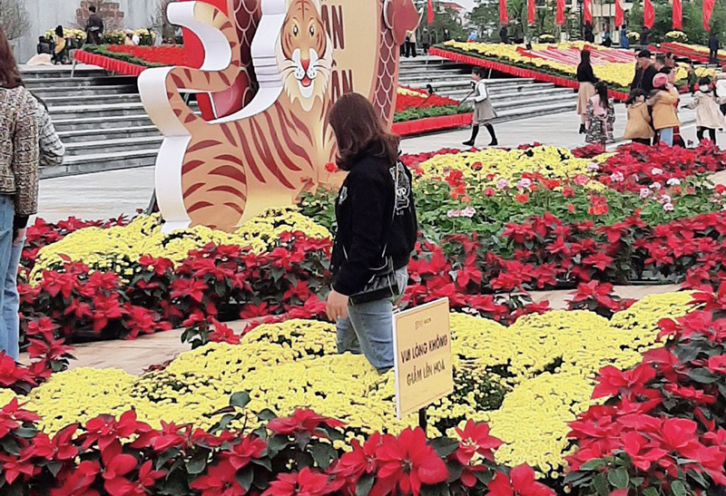 Du khách vô tư dẫm lên hoa, tiểu cảnh để chụp hình. 