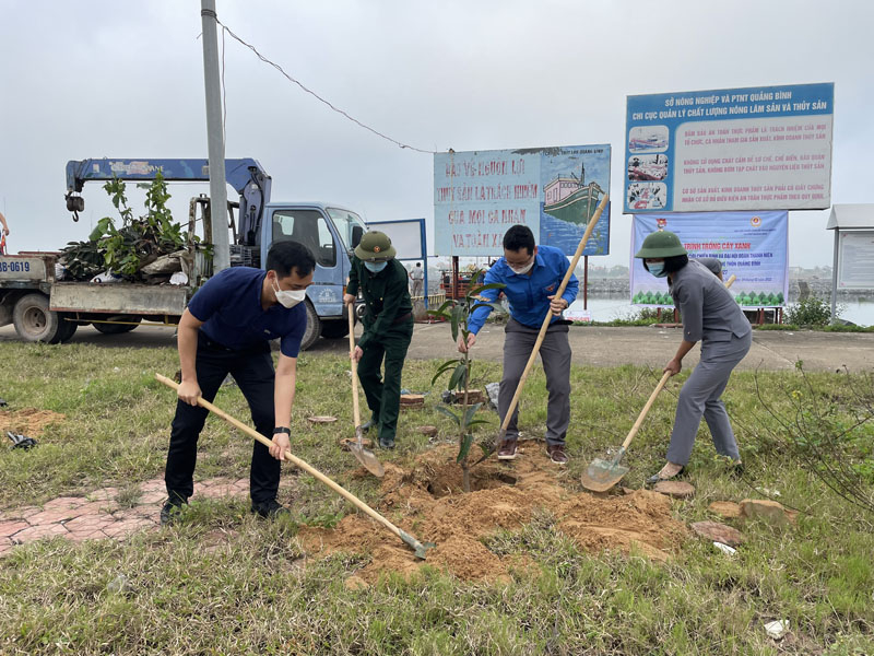 Lãnh đạo Sở Nông nghiệp-PTNT trồng cây xanh tại Khu neo đậu tránh trú bão cho tàu cá Nhật Lệ (TP. Đồng Hới).
