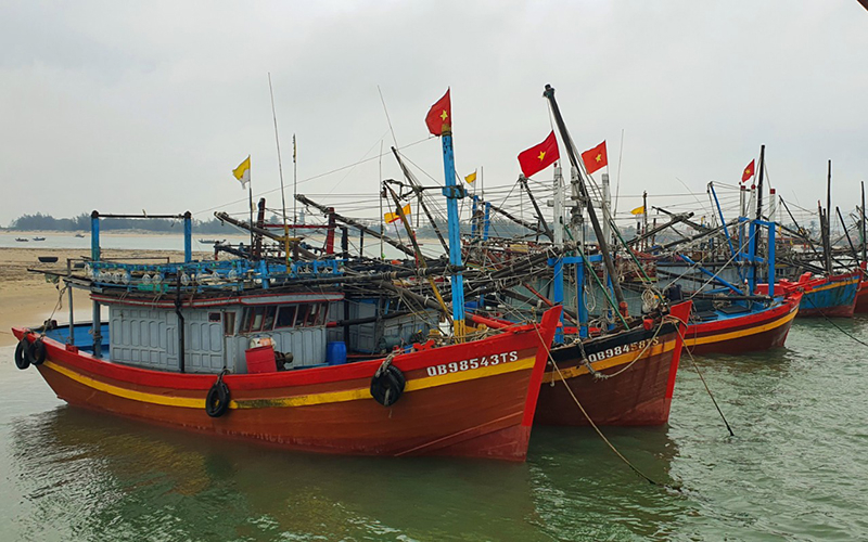 Ý thức của ngư dân về  chống khai thác IUU ngày càng được nâng cao, lượt tàu cá vi phạm vùng biển nước ngoài giảm sâu
