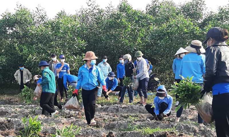 ĐVTN Đoàn xã Tây Trạch (Bố Trạch) tham gia trồng cây hưởng ứng lễ phát động “Tết trồng cây đời đời nhớ ơn Bác Hồ”.