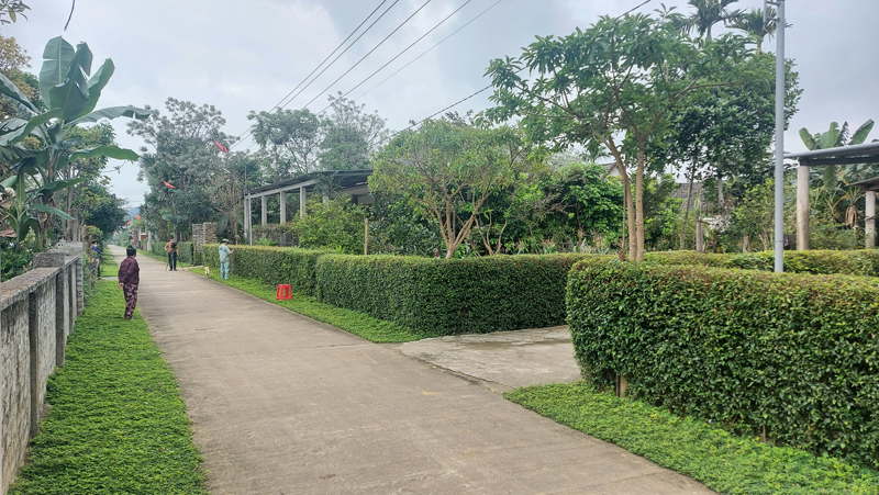 Tuyến đường hoa, hàng rào xanh tại xã Cao Quảng (Tuyên Hóa).