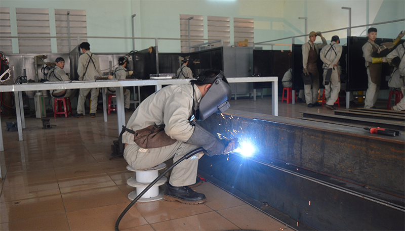 Trên 80% lao động nông thôn sau khi học nghề đã được giải quyết việc làm hoặc tự tạo việc làm.