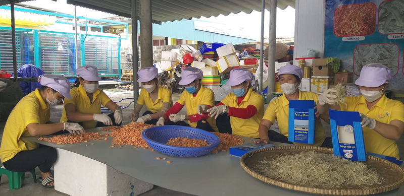 Các sản phẩm OCOP của HTX Sản xuất, mua bán, chế biến thủy hải sản Vương Đoàn được bán trên các sàn TMĐT từ năm 2020.