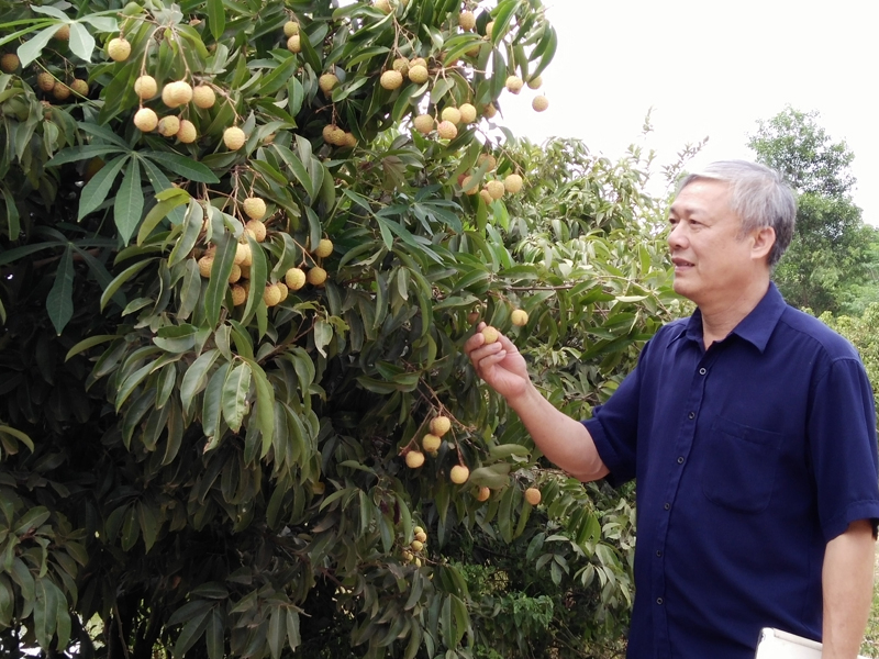 Nhờ được hỗ trợ, nhiều hộ nghèo, cận nghèo trên địa bàn TX. Ba Đồn đã mạnh dạn đầu tư phát triển kinh tế, vươn lên thoát nghèo.