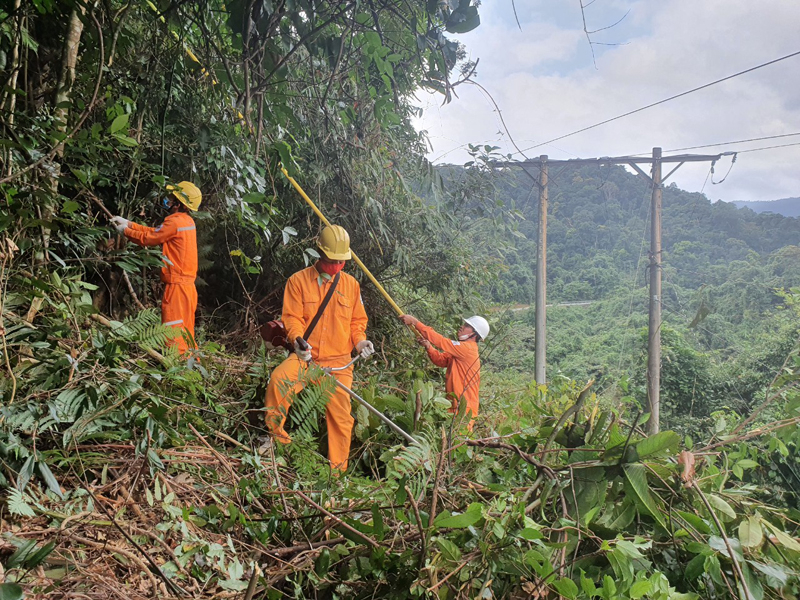 Công nhân Đội quản lý điện thị trấn Nông trường Việt Trung-Trường Sơn xử lý thực bì trong hành lang lưới điện giữa rừng.