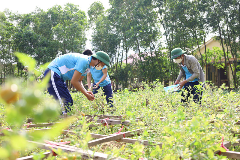 Sau cắt cơn, các học viên sẽ tham gia các hoạt động lao động trị liệu.