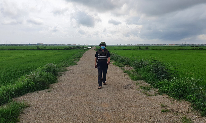 Tiêu chí thành phần bê tông hóa giao thông nội đồng ở HTX Đại Phong còn gặp khó khăn.