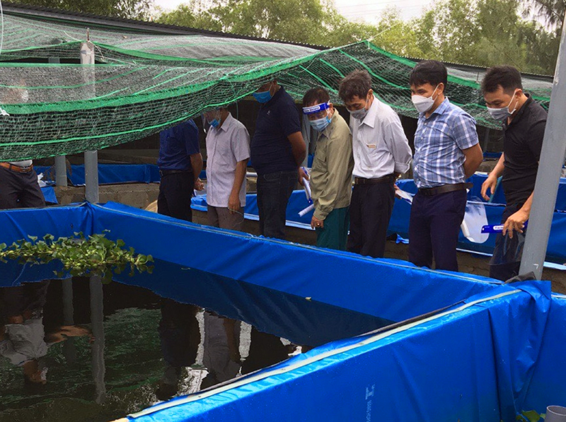 Tập huấn kỹ thuật nuôi và phòng trị một số bệnh trên cá nước ngọt tại xã Ngư Thuỷ Bắc (Lệ Thuỷ). 