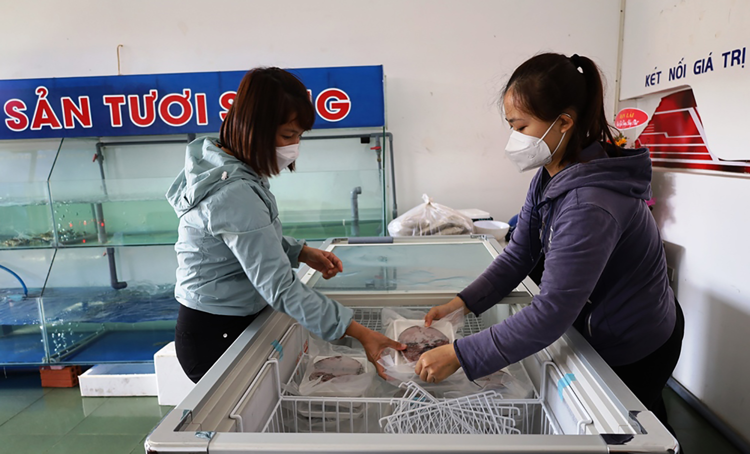 Thủy sản được bao tiêu, người dân hai huyện Lệ Thủy, Quảng Ninh giải quyết được nỗi lo bị ép giá.