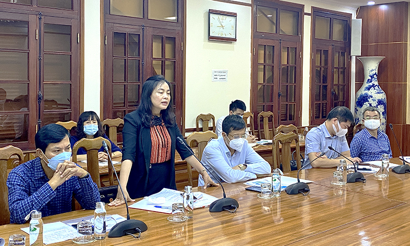 Đại biểu phát biểu tại buổi làm việc.