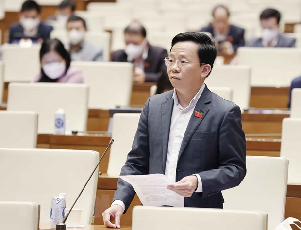 Đại biểu Quốc hội tỉnh Hậu Giang Lê Minh Nam phát biểu ý kiến. (Ảnh: Doãn Tấn/TTXVN)