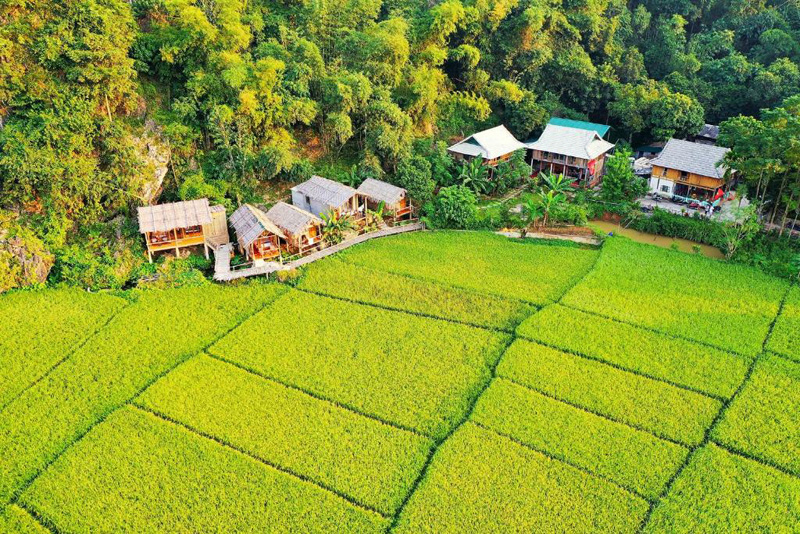 Khu nghỉ dưỡng hòa cùng thiên nhiên tại Mai Châu. 