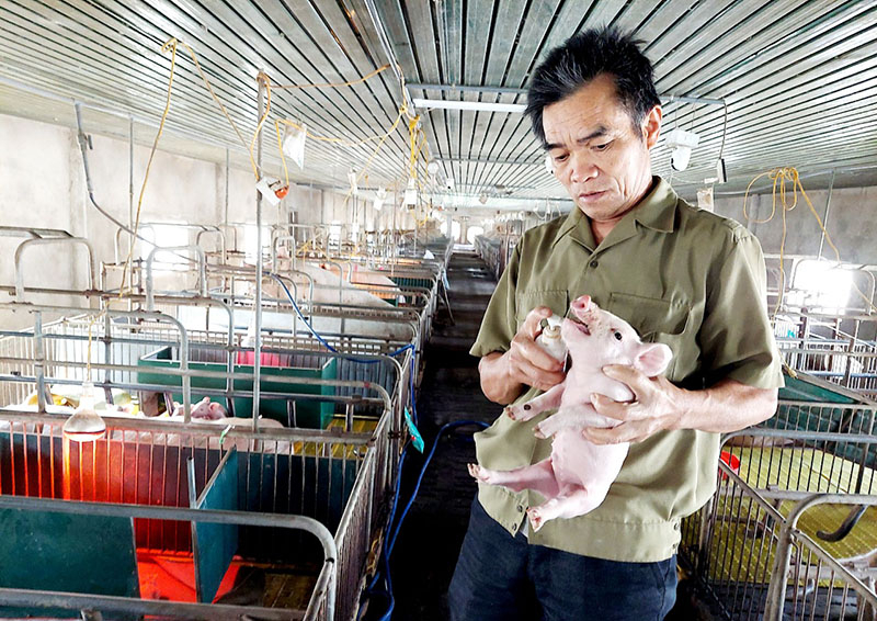 Nhờ triển khai hiệu quả phong trào “CCB giúp nhau giảm nghèo, làm kinh tế giỏi”, đến nay, Hội CCB huyện Bố Trạch chỉ còn 158 hộ nghèo (1,33%); 187 hộ cận nghèo (1,62%), trong đó có 12 hội cơ sở không còn hộ nghèo, gồm: Nhân Trạch, Trung Trạch, Tây Trạch, Hưng Trạch, Đại Trạch, Vạn Trạch, Nam Trạch, Hạ Trạch, Bắc Trạch, Đồng Trạch, Sơn Lộc, Cự Nẫm.