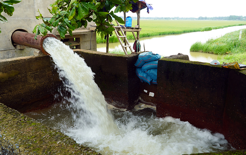 Lệ Thủy tập trung bơm tiêu úng cho đồng ruộng