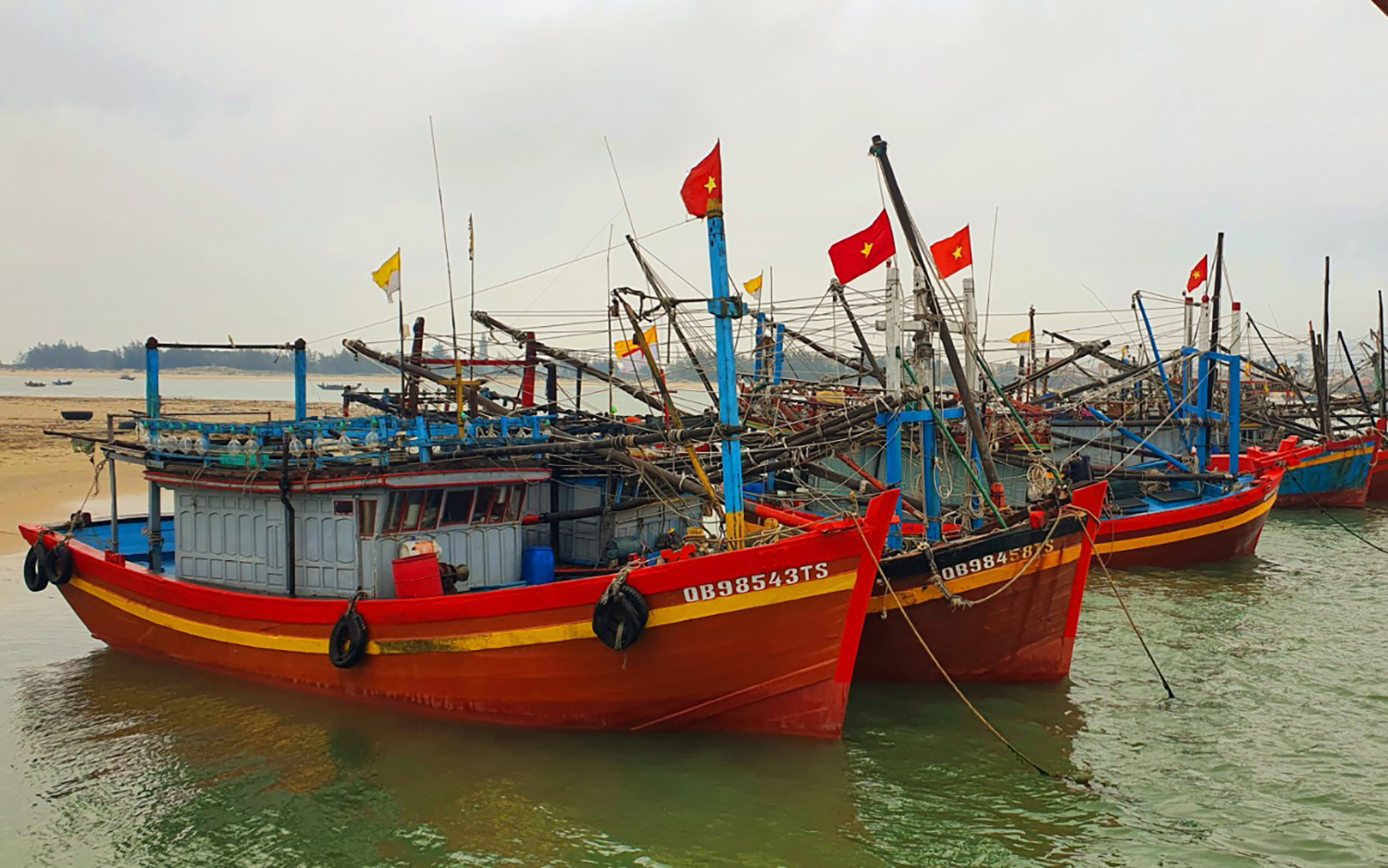 Số lượng tàu cá đăng kiểm hàng năm đạt từ 95 đến 98%.