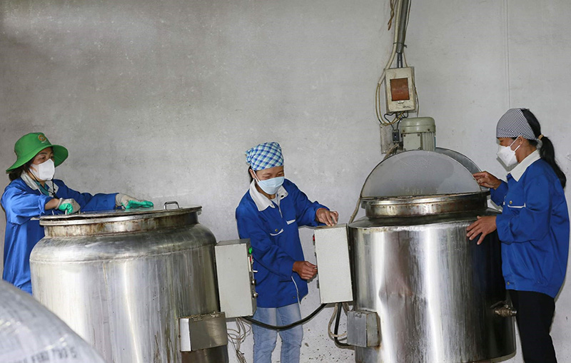 Nhiều lao động nông thôn được GQVL nhờ phát triển sản xuất nông nghiệp.