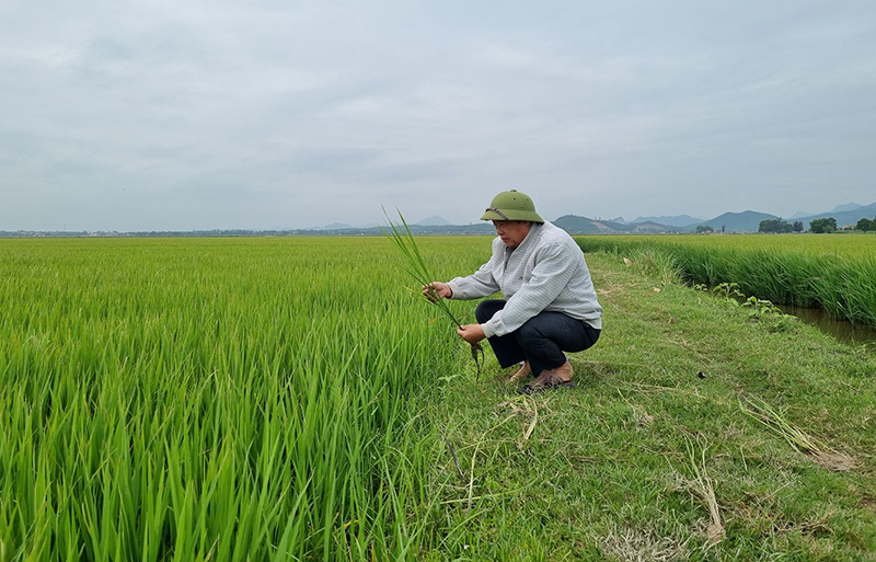 Nhiều thành viên của CLB đều là tấm gương tiêu biểu trong SXKD, làm giàu cho gia đình và có nhiều đóng góp cho xã hội.