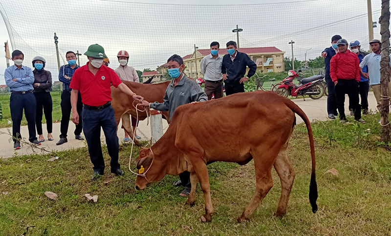 Người dân hạnh phúc khi được nhận bò sinh kế do Quỹ Thiên Tâm trao tặng
