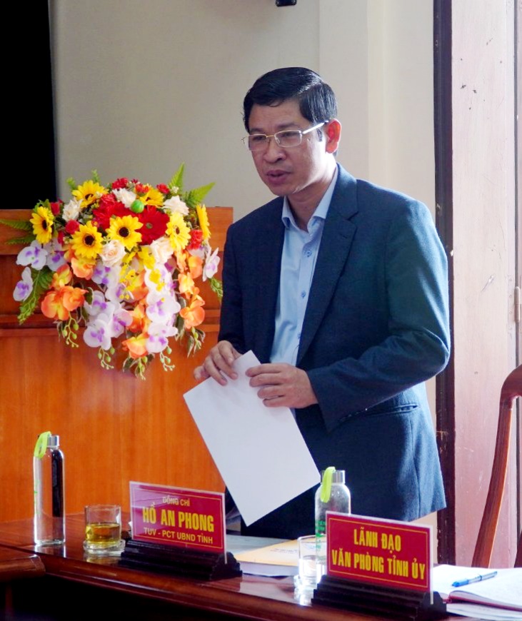 Đồng chí Phó Chủ tịch UBND tỉnh Hồ An Phong phát biểu tại buổi làm việc.